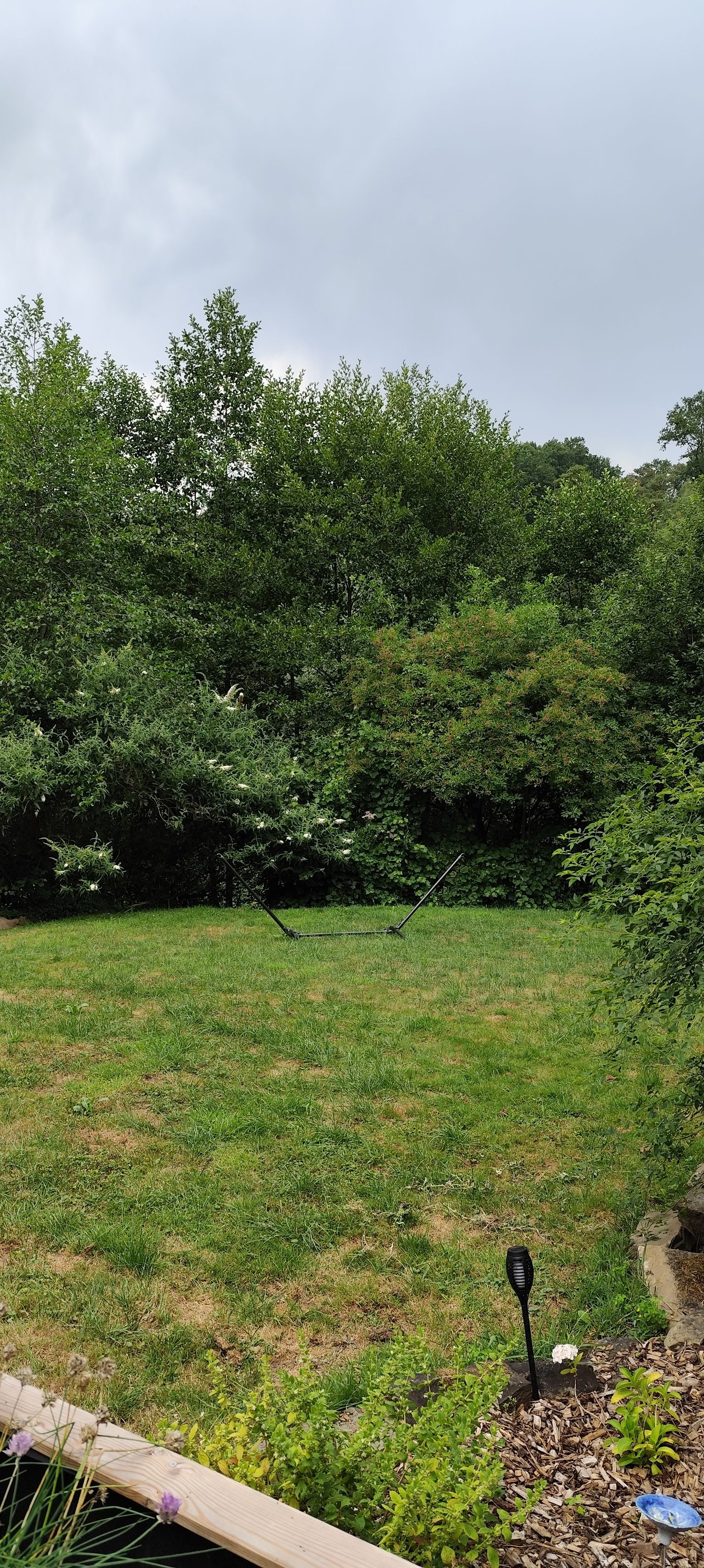 Unser Garten