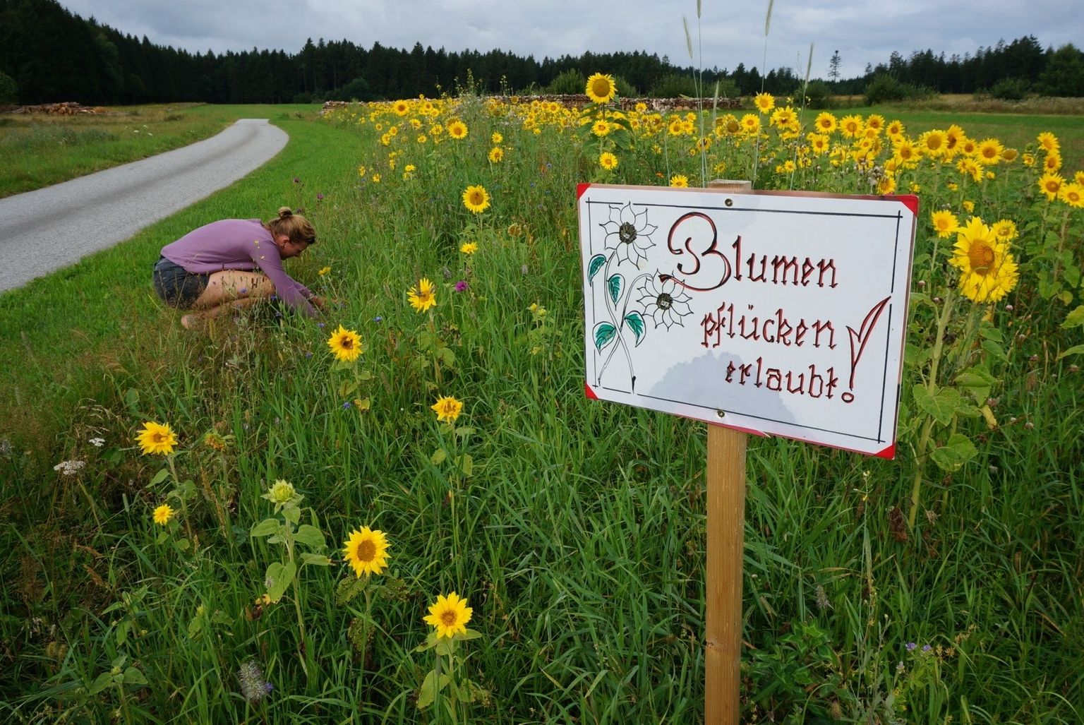 Picking flowers is allowed!