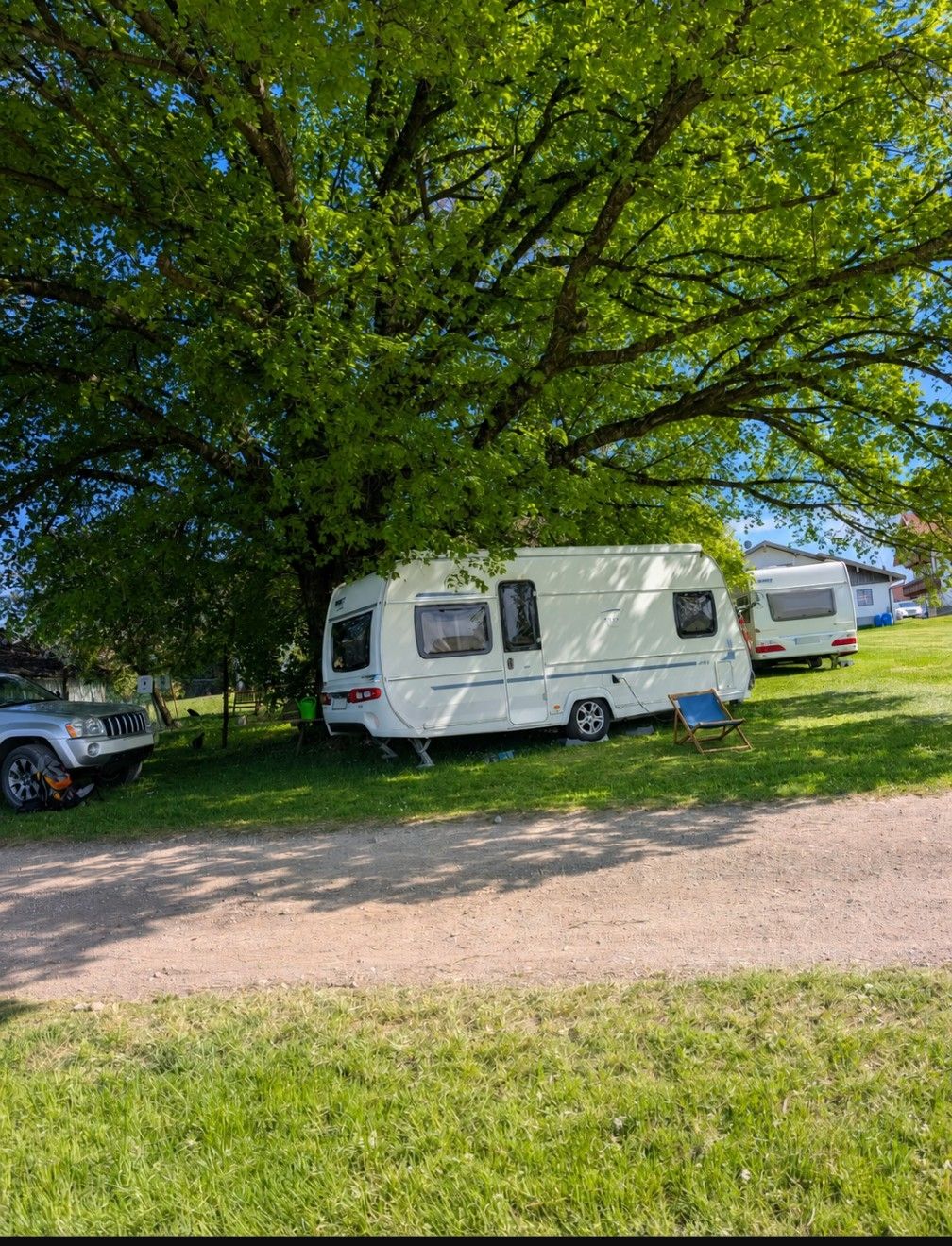 Entspannung unter alten Bäumen