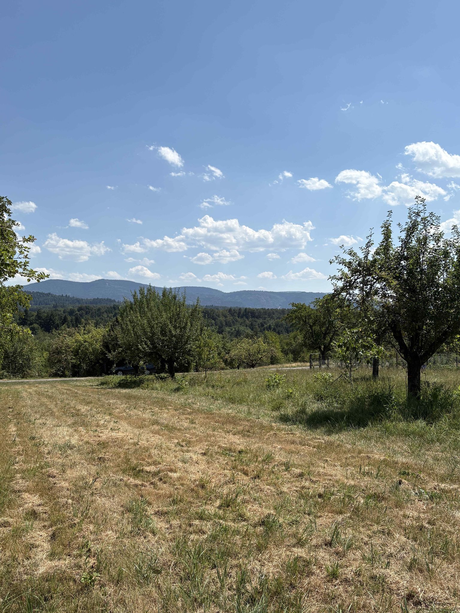 Ausblick
