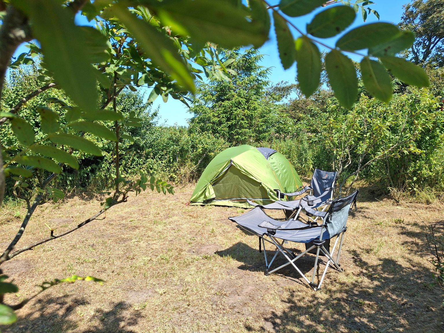 This is your campsite (approx. 50 m²)