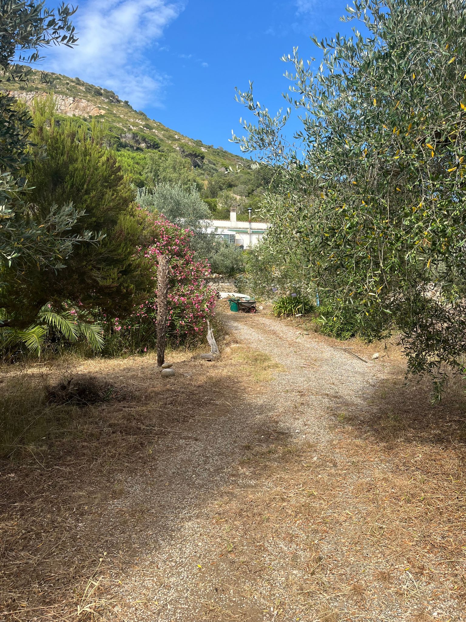 Weg zum Stellplatz