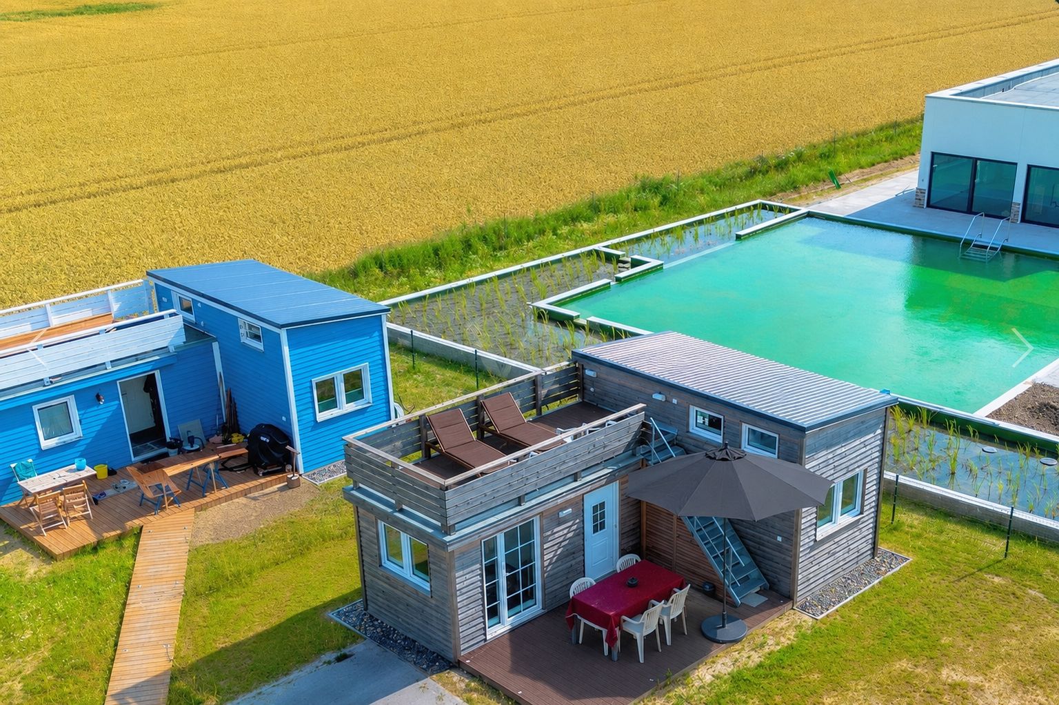 Außenbereich, direkt am Pool mit Blick auf Pool und Boddenlandschaft. Perfekte Aussichten auf die Kraniche und Kinder am Pool