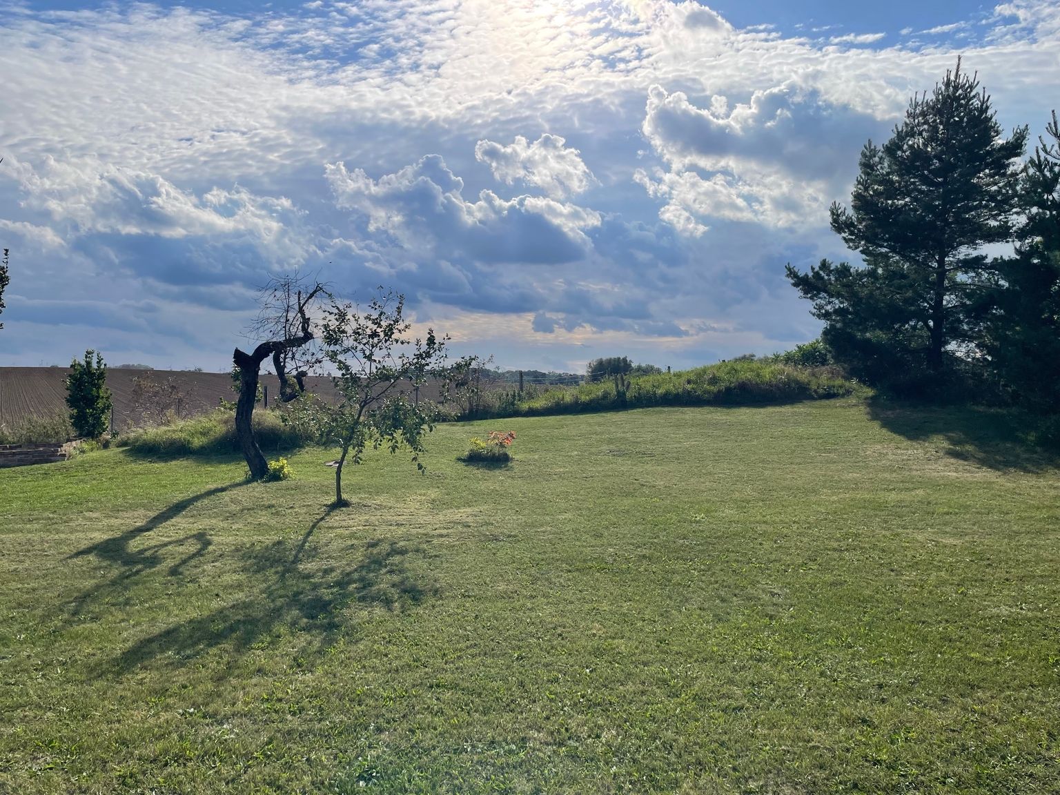 Una vista meravigliosa, direttamente dal camper