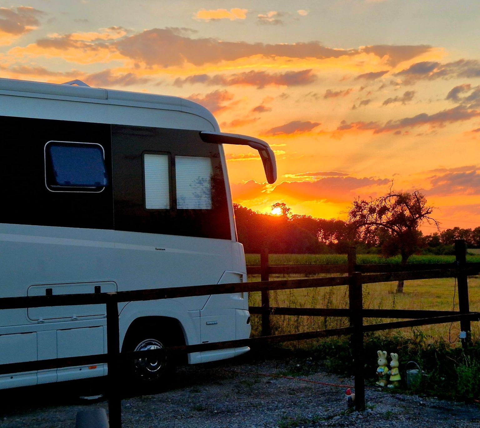 Sonnenuntergang mit Besuch