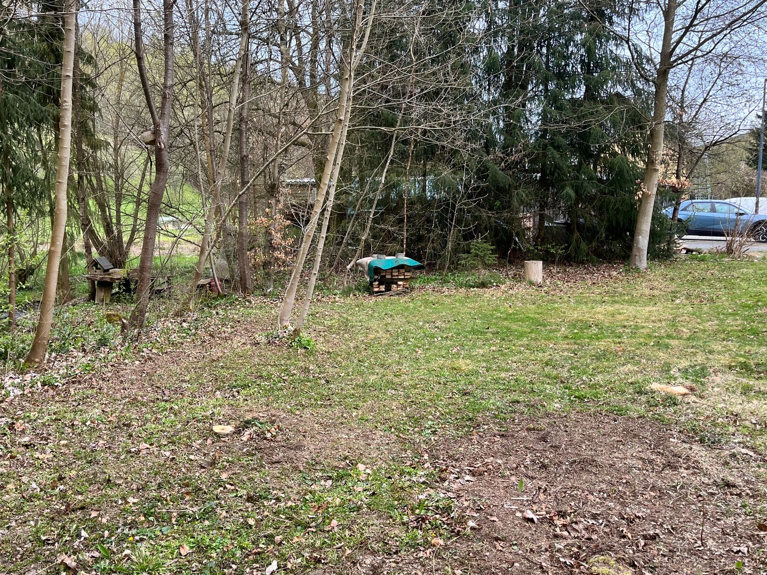 The campsites