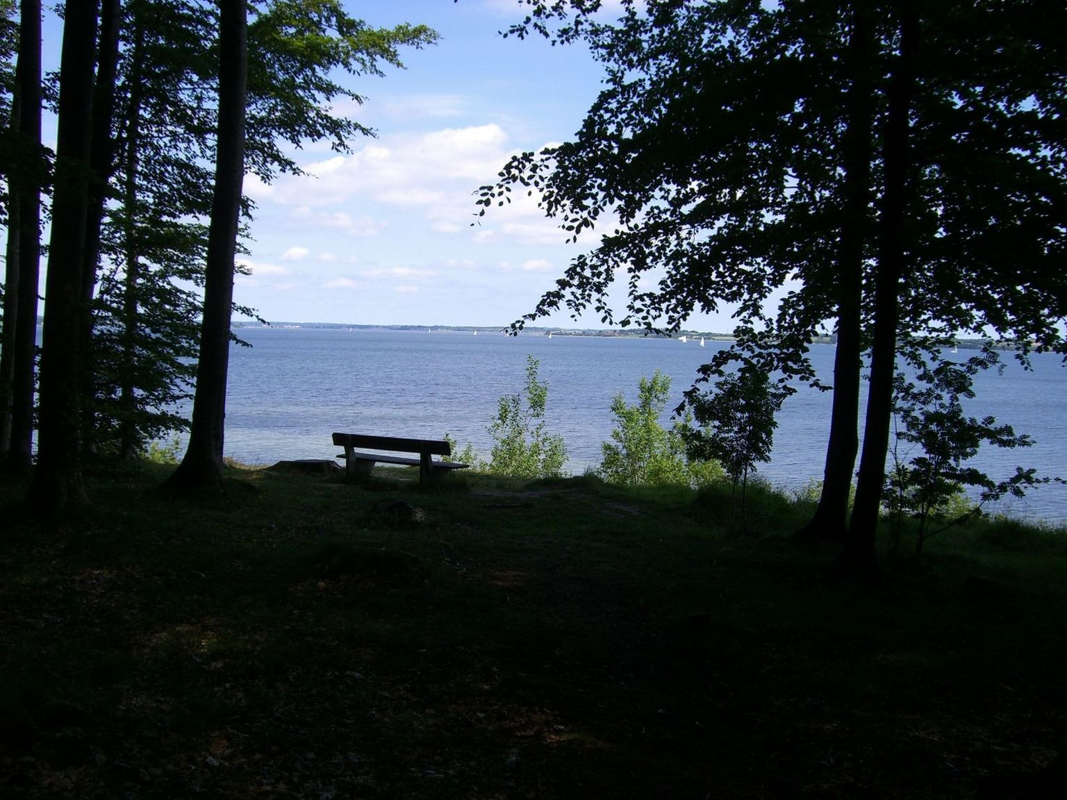 Blick auf die Ostsee mit einer kleinen Bank, um die Aussicht zu genießen. Der Stellplatz ist buchbar über hinterland.camp