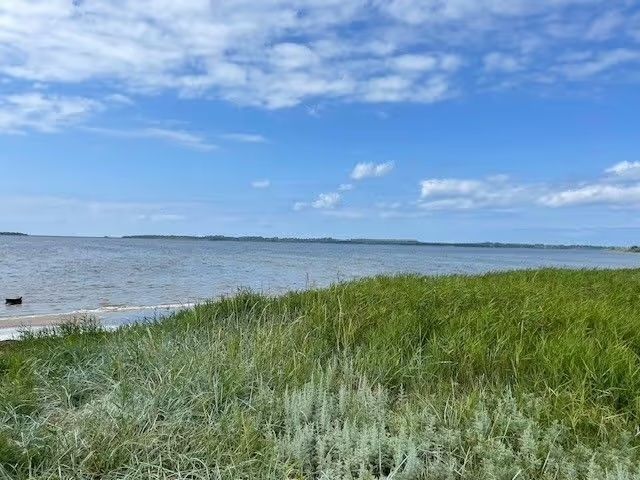 Wiese eines Campingplatzes mit Blick auf die Ostsee