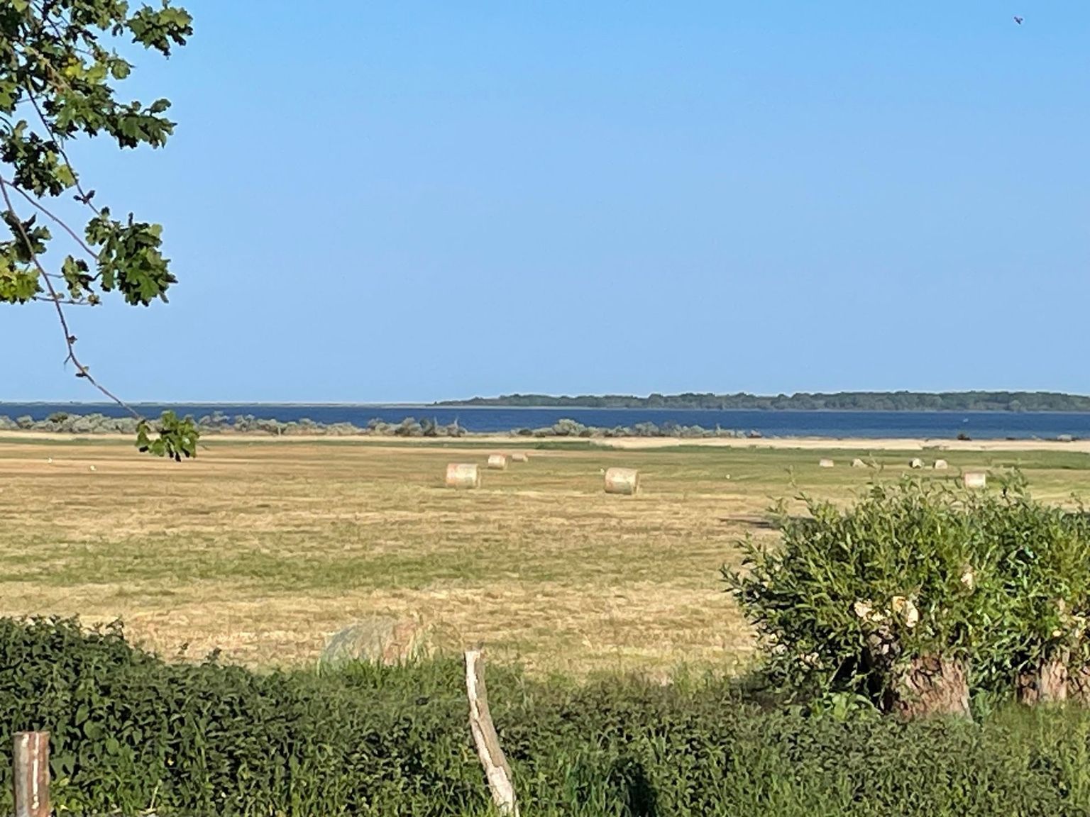 Wiese eines Campingplatzes mit Blick auf die Ostsee