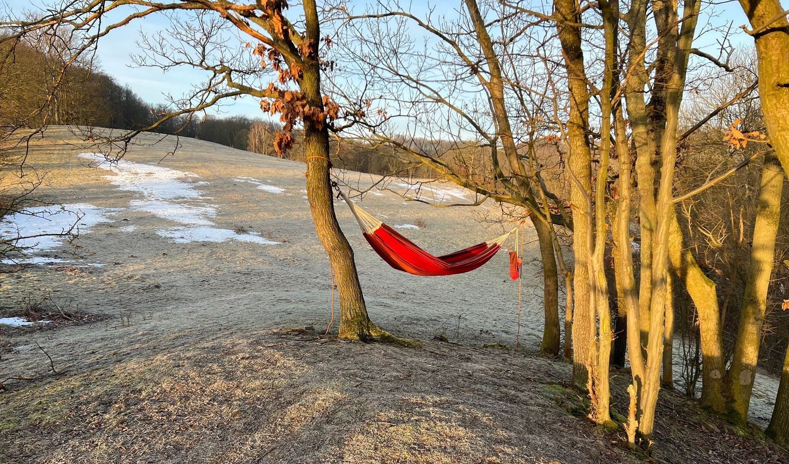 Eine Hängematte hängt zwischen zwei Bäumen am Waldrand in der Nähe von Dresden. Den Platz kann man als Camping Stellplatz bei hinterland.camp buchen.