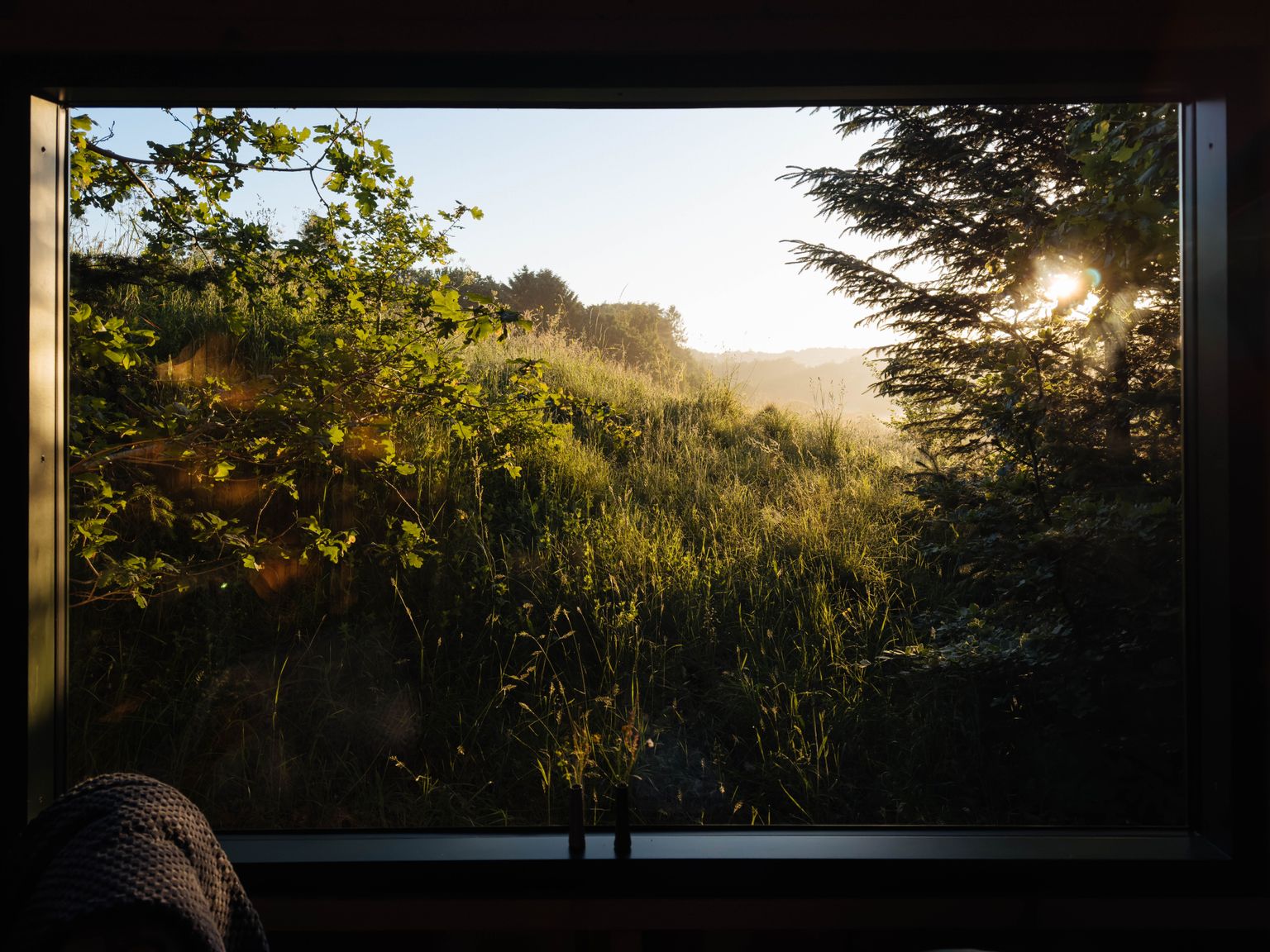 Ausblick bei Sonnenuntergang aus dem Fenster von einer kleinen Hütte im Wald, die man per hinterland.camp buchen kann.