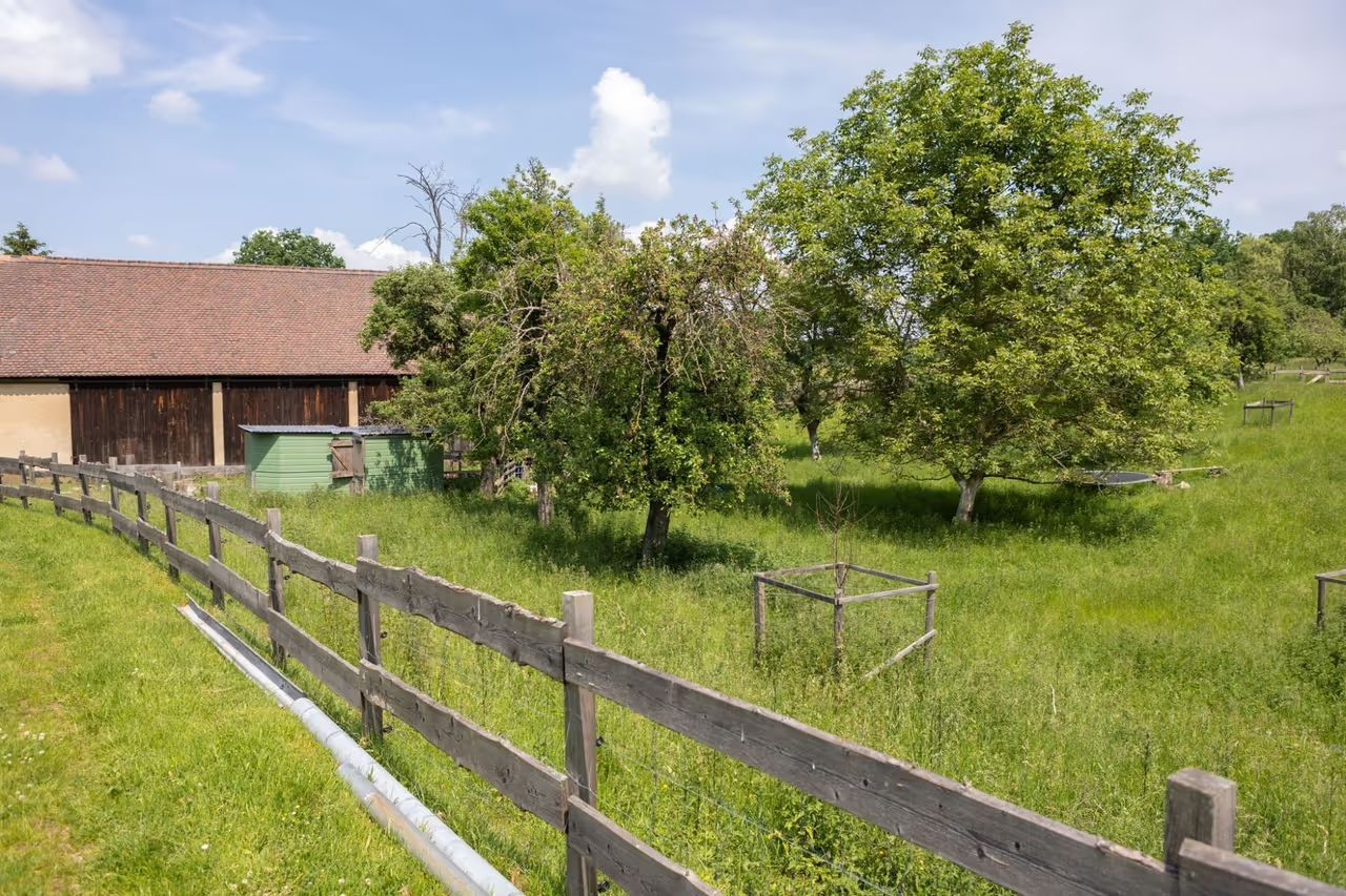 Eine grüne Wiese mit Obstbäumen und einem Gebäude im Hintergrund. Die Wiese gehört zu dem Abenteuer-Campingplatz, den man auf hinterland.camp buchen kann.