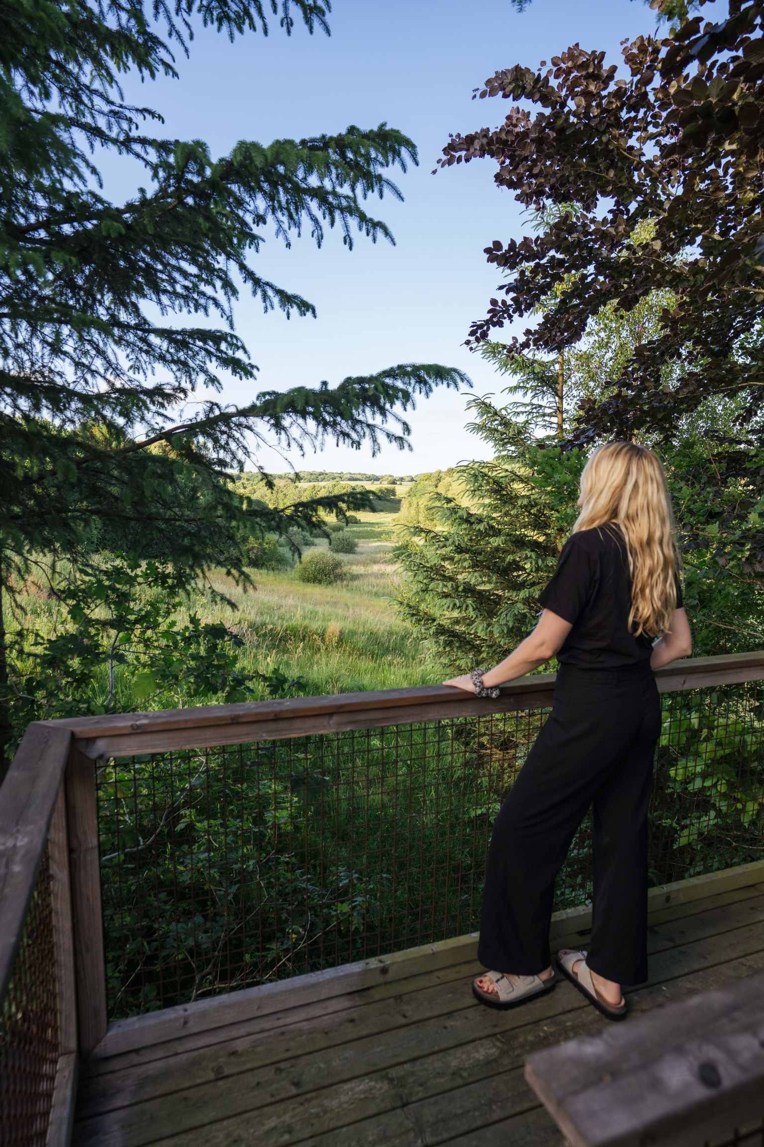 Frau steht auf der Dachterrasse einer versteckte Hütte im Wald mit Panoramablick, die buchbar bei hinterland.camp ist