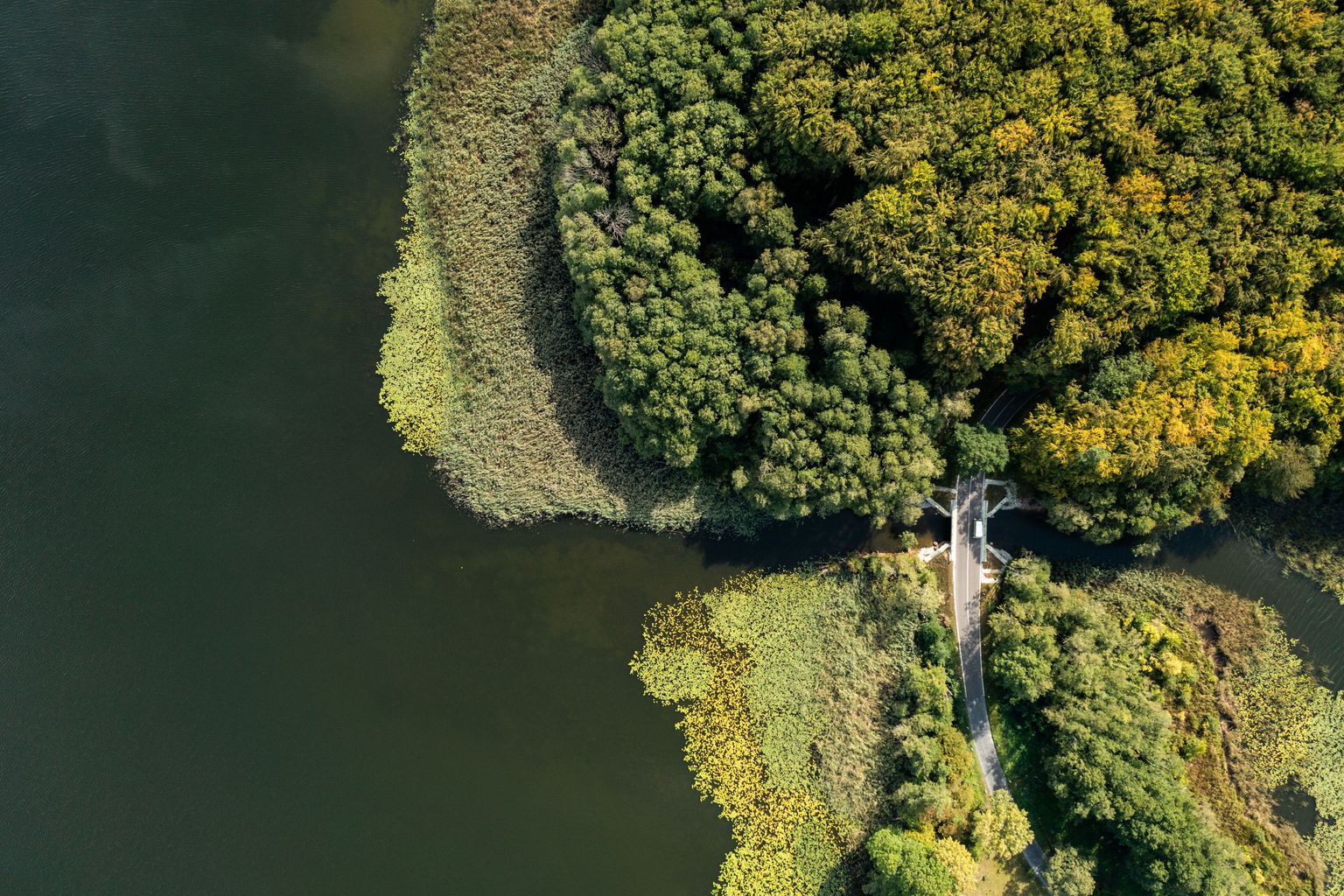 Bild der Mecklenburgischen Seenplatten aus der Vogelperspektive: Landplatten grenzen aneinander, getrennt durch das Wasser der Seen