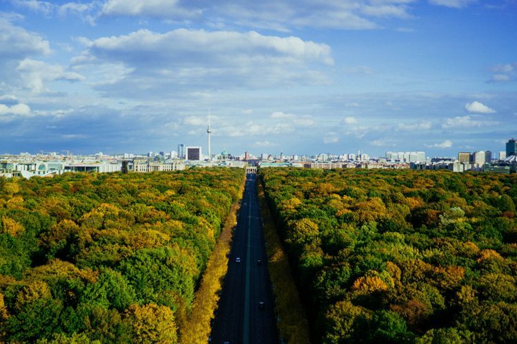 Straße inmitten eines Waldes, die unmittelbar Richtung Berlin führt, die Stadt ist im Hintergrund zu erkennen