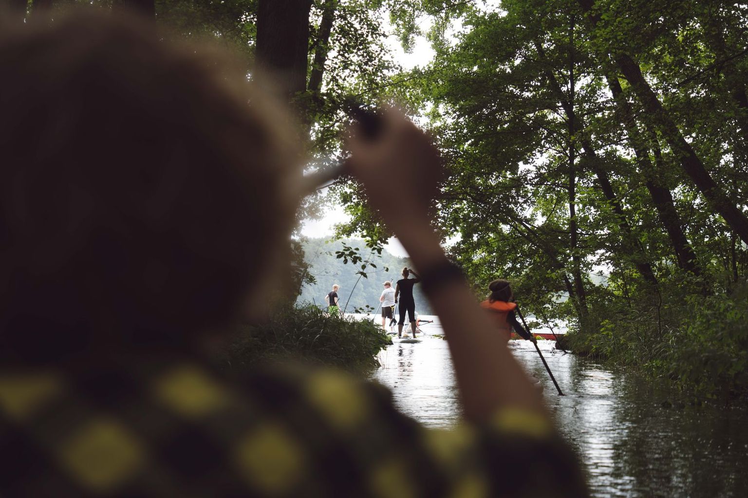 SUP-Fahrer auf einem See umgeben von Bäumen