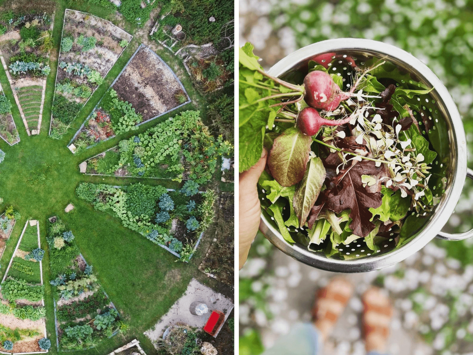 Collage Garten Vogelperspektive & Bowl mit Salat