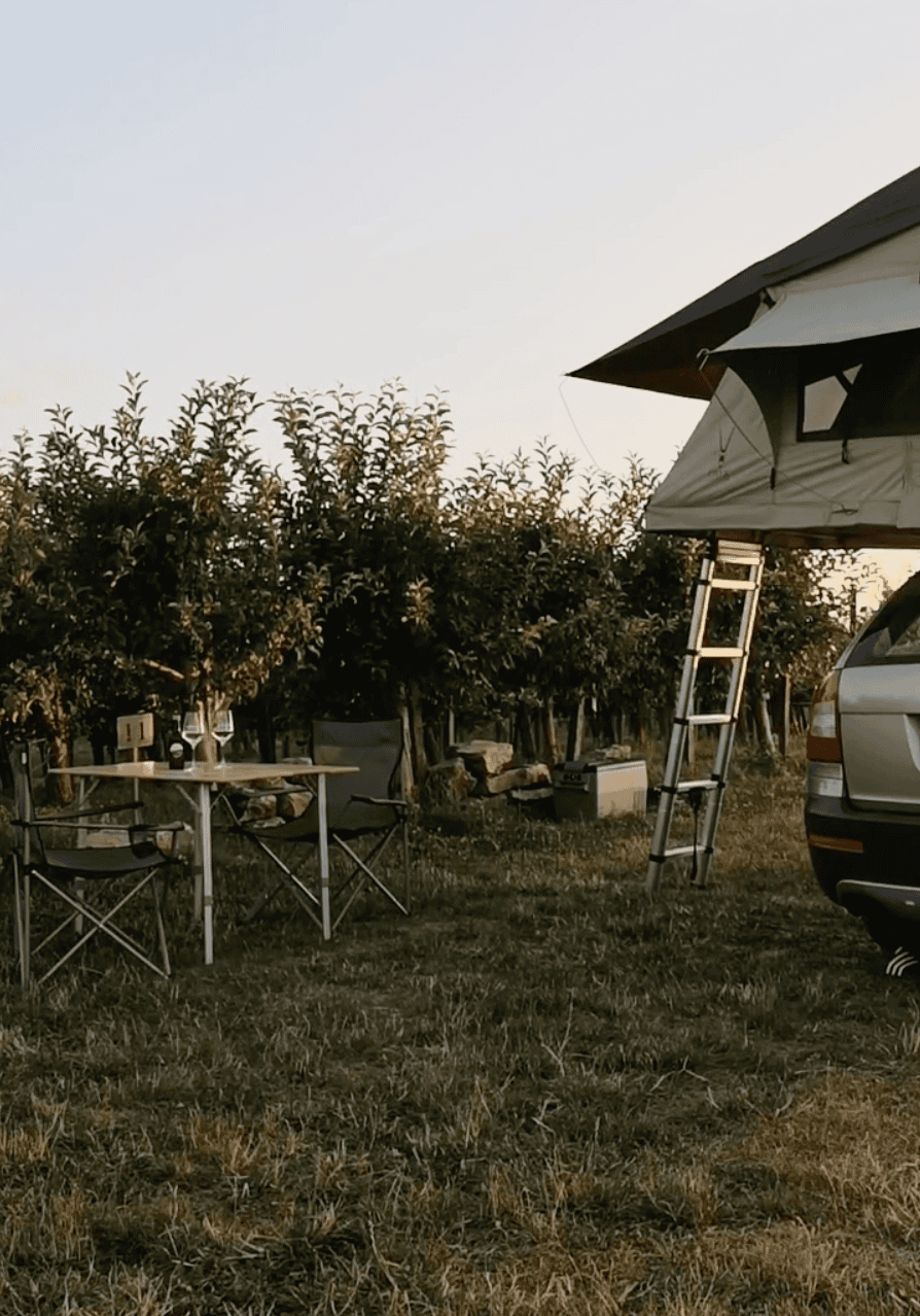 Camper steht auf einem Camping-Stellplatz direkt an den Reben eines Weinguts, bei dem man über hinterland.camp eine Camping-Übernachtung buchen kann