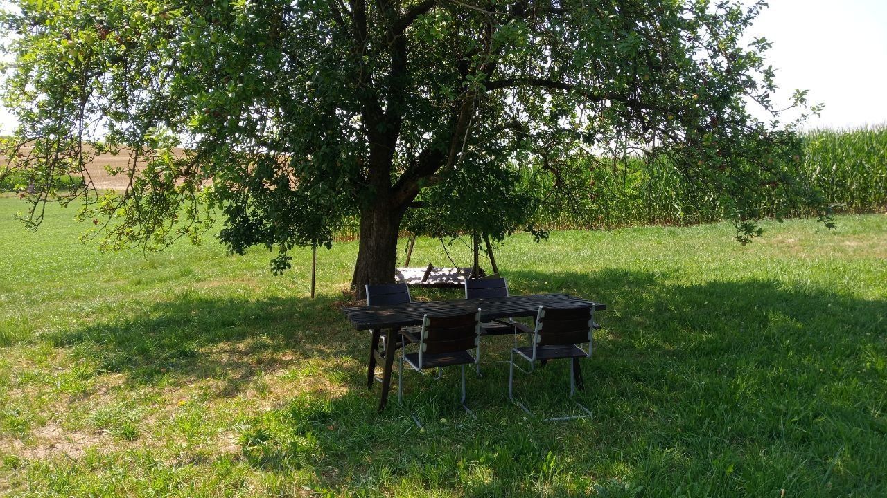 Camping umgeben von Apfelbäumen und Feldern