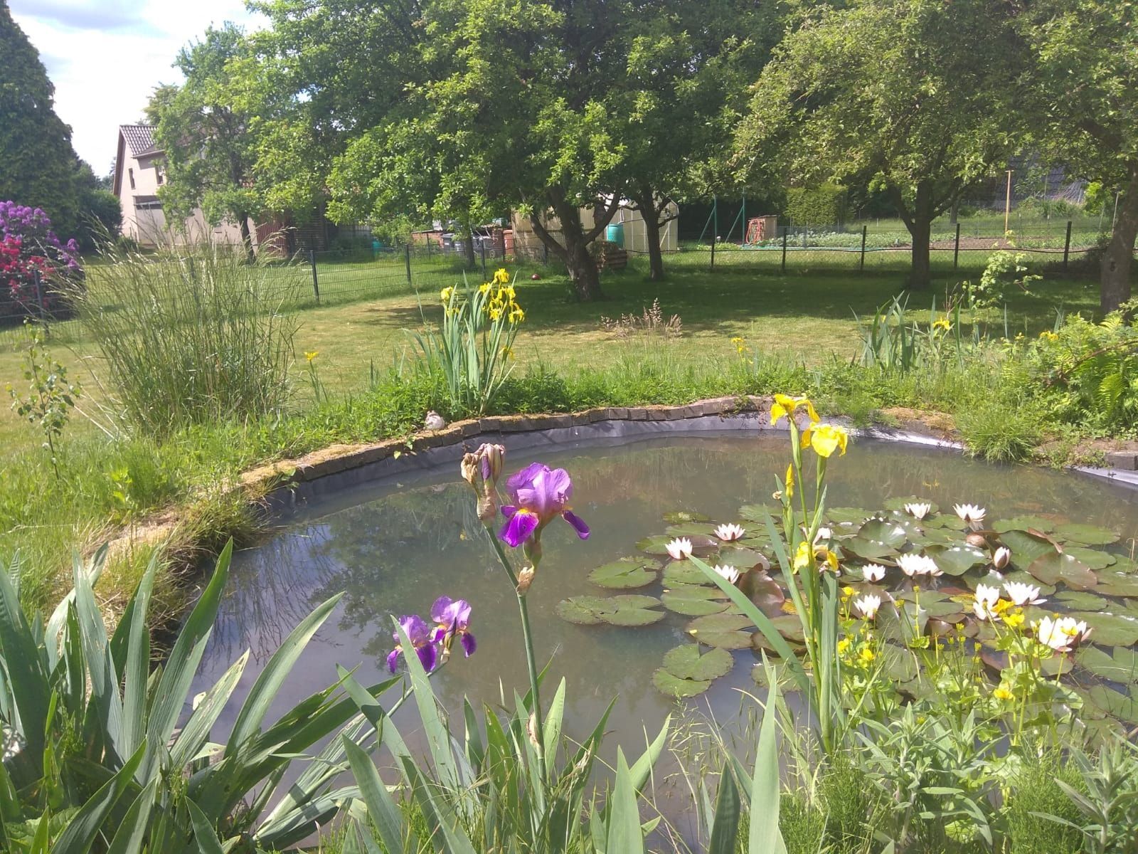 Zeltplatz mit Pool umgeben von Vogelgezwitscher
