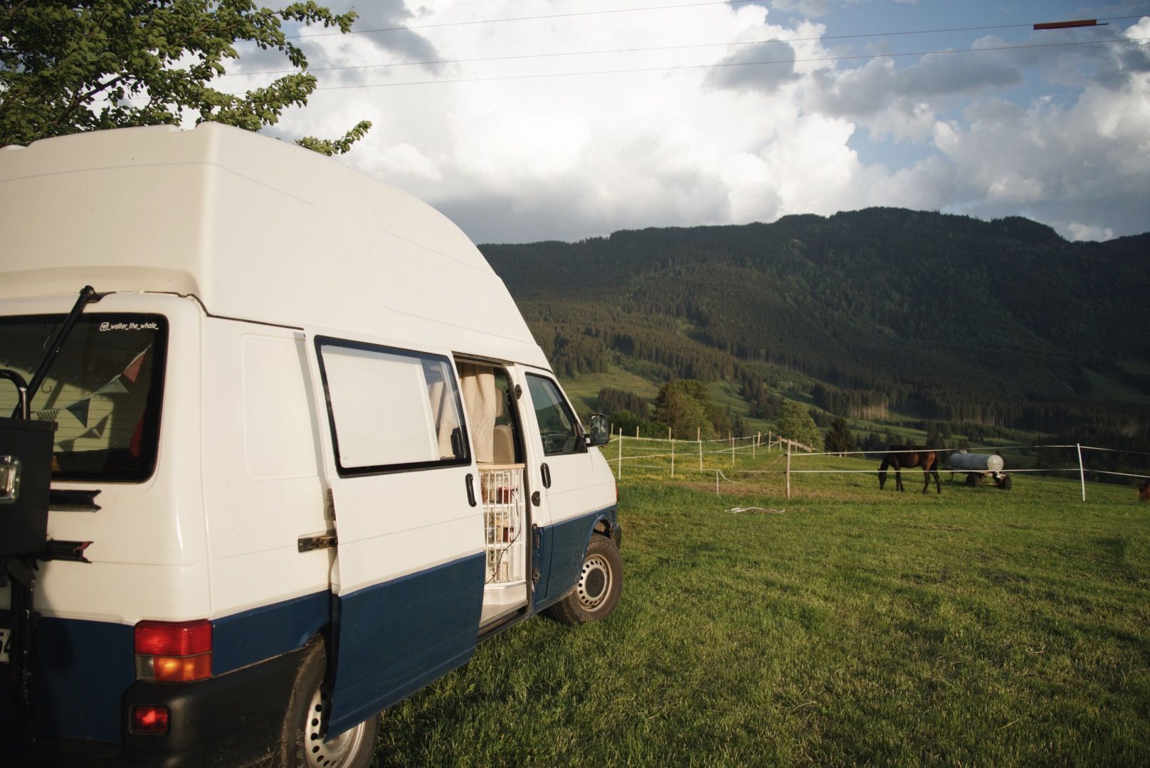 Ein weiß-blauer Camper steht auf einer Wiese vor der Pferdekoppel. Er befindet sich auf einem ausgewiesenem Stellplatz zum Campen auf einem Bauernhof in NRW.