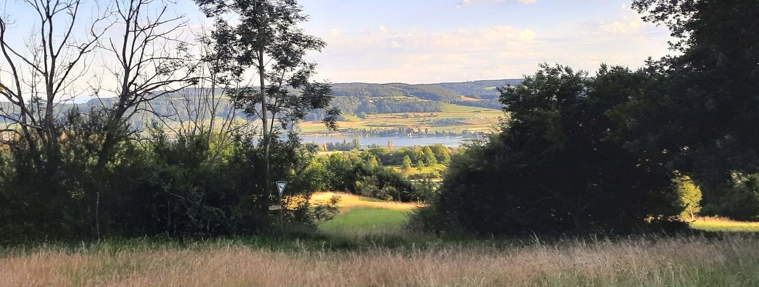 Stellplatz am Bodensee auf einer Wiese etwas abgelegen im Wald. Man hat von dort aus einen schönen Weitblick auf den gesamten See und der Stellplatz befindet sich mitten in der Natur, ohne Nachbarn. Buchen kann man den Stellplatz auf hinterland.camp