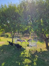 Rating image
