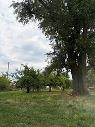 Rating image