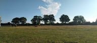 Rating image