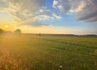 Rating image