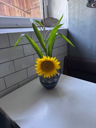 Rating image