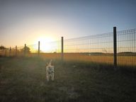 Rating image