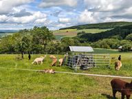 Rating image