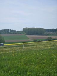 Rating image