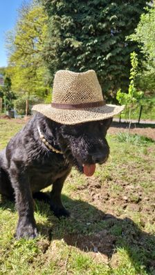 Jochen und Judith mit Horst-Guenther, Elisabeth und Frederik