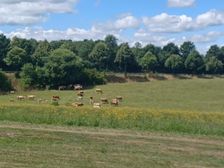 Angelina und Hendrik