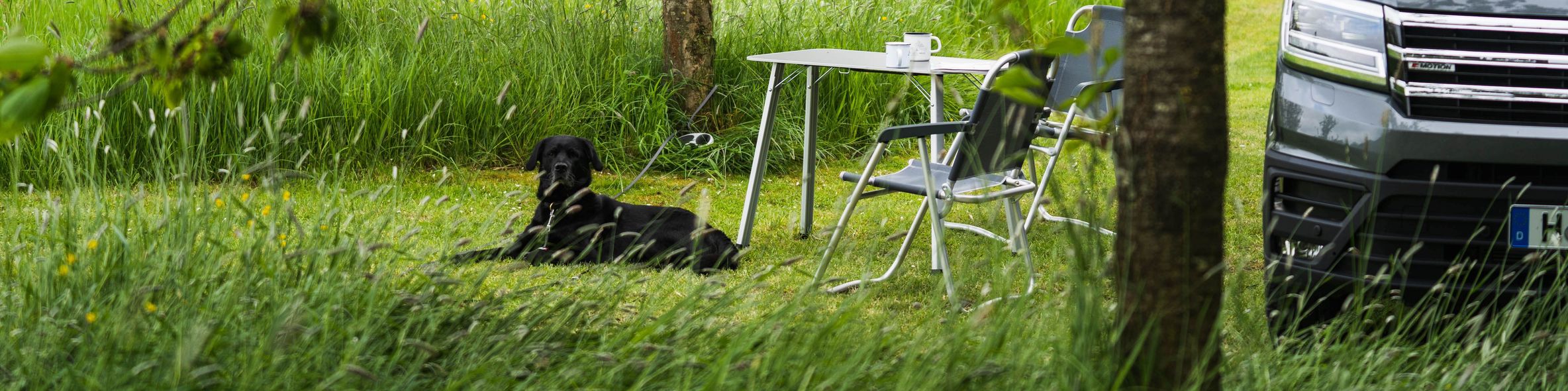 Camping mit Hund am Nordseedeich, Camper steht auf einem Stellplatz in Alleinlage und der Hund liegt vor den Campingstühlen und dem Campingtisch