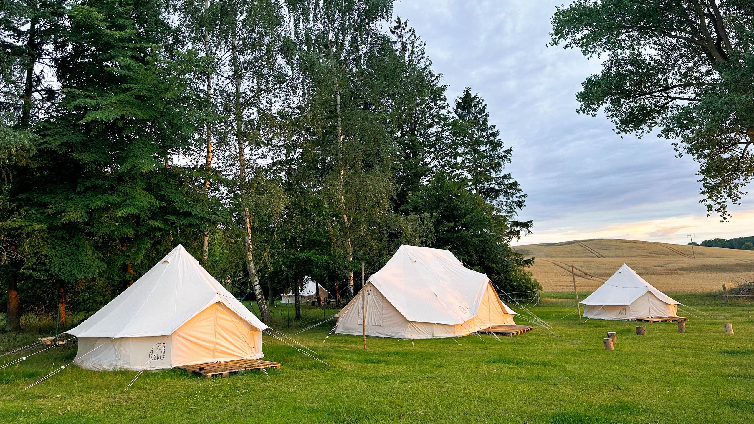 3 Glamping Zelte stehen nebeneinander, buchbar bei hinterland.camp