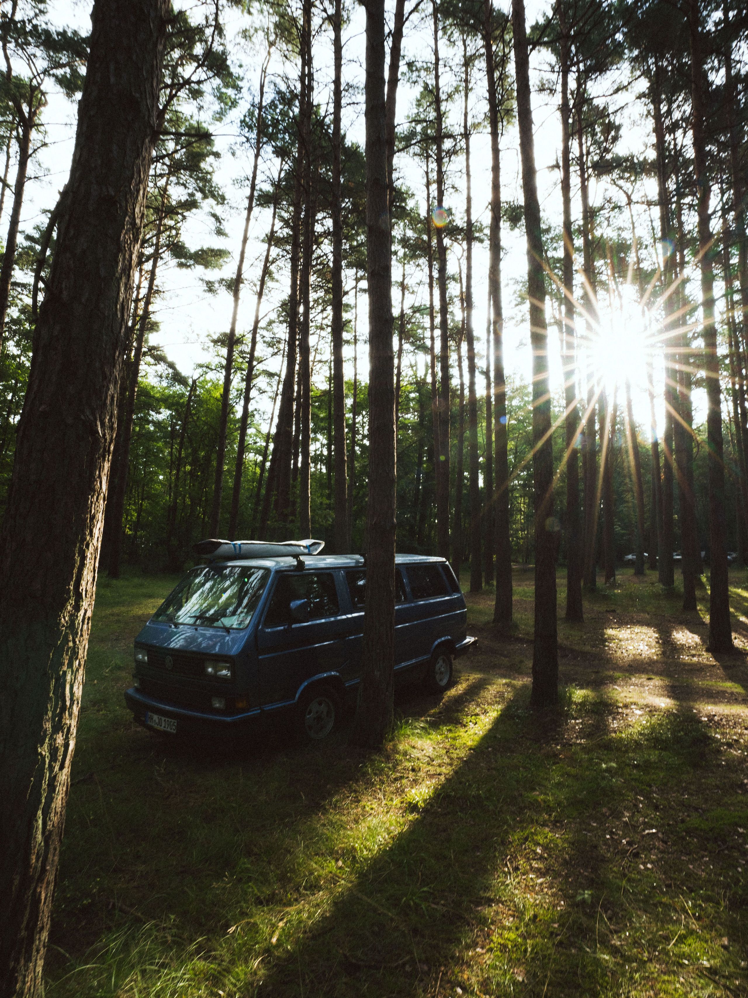 T3-VW-Camper im Wald