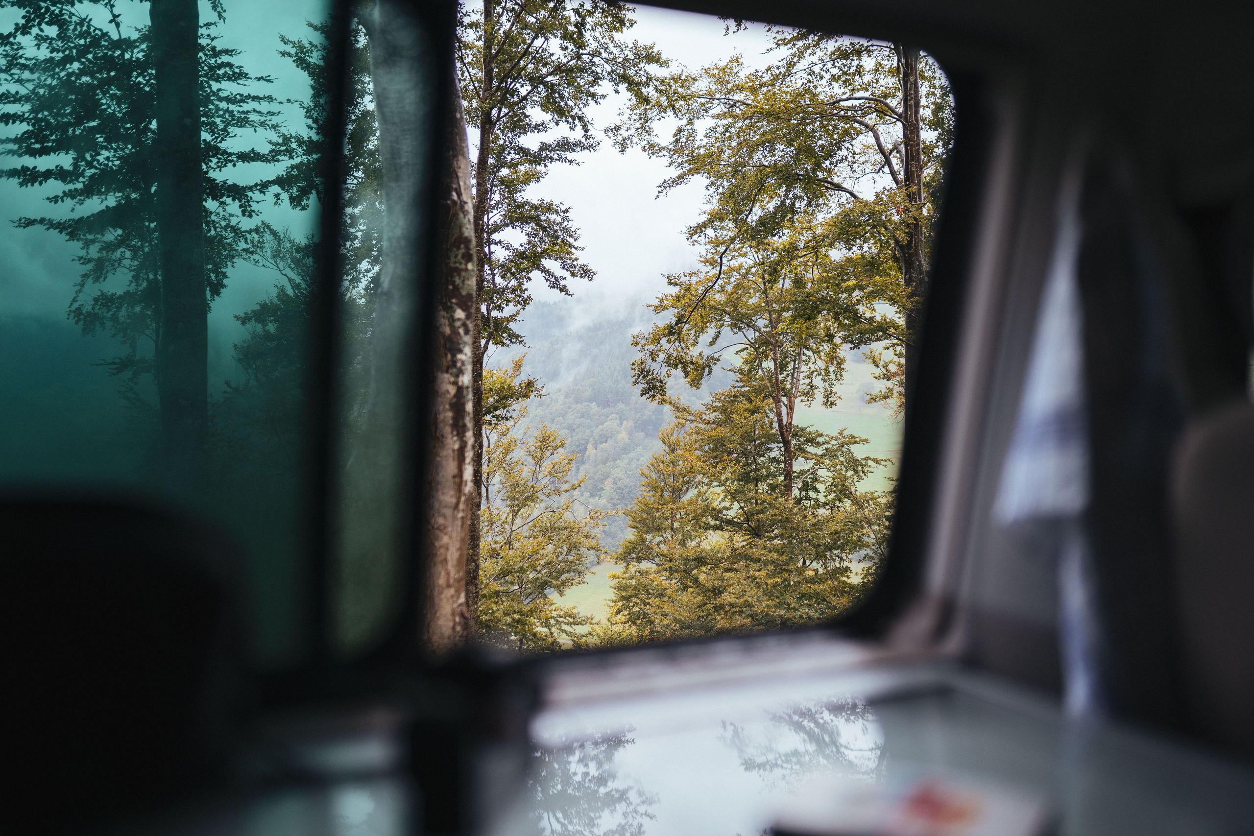 Blick aus dem Fenster eines Campers in den Wald