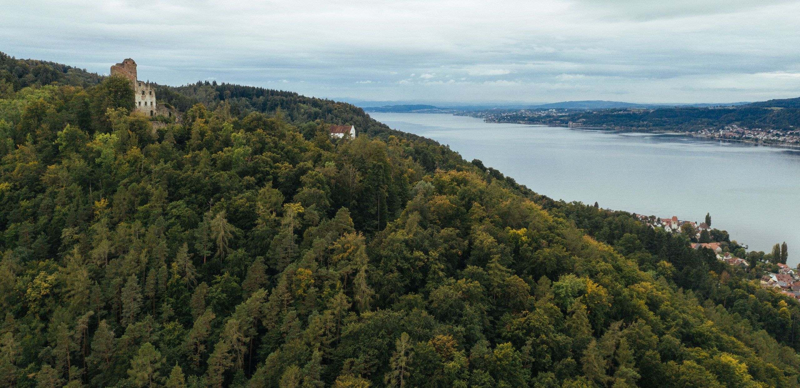 Blick von einem Geheimtipp Stellplatz auf einem bewaldeten Berg auf den Bodensee 