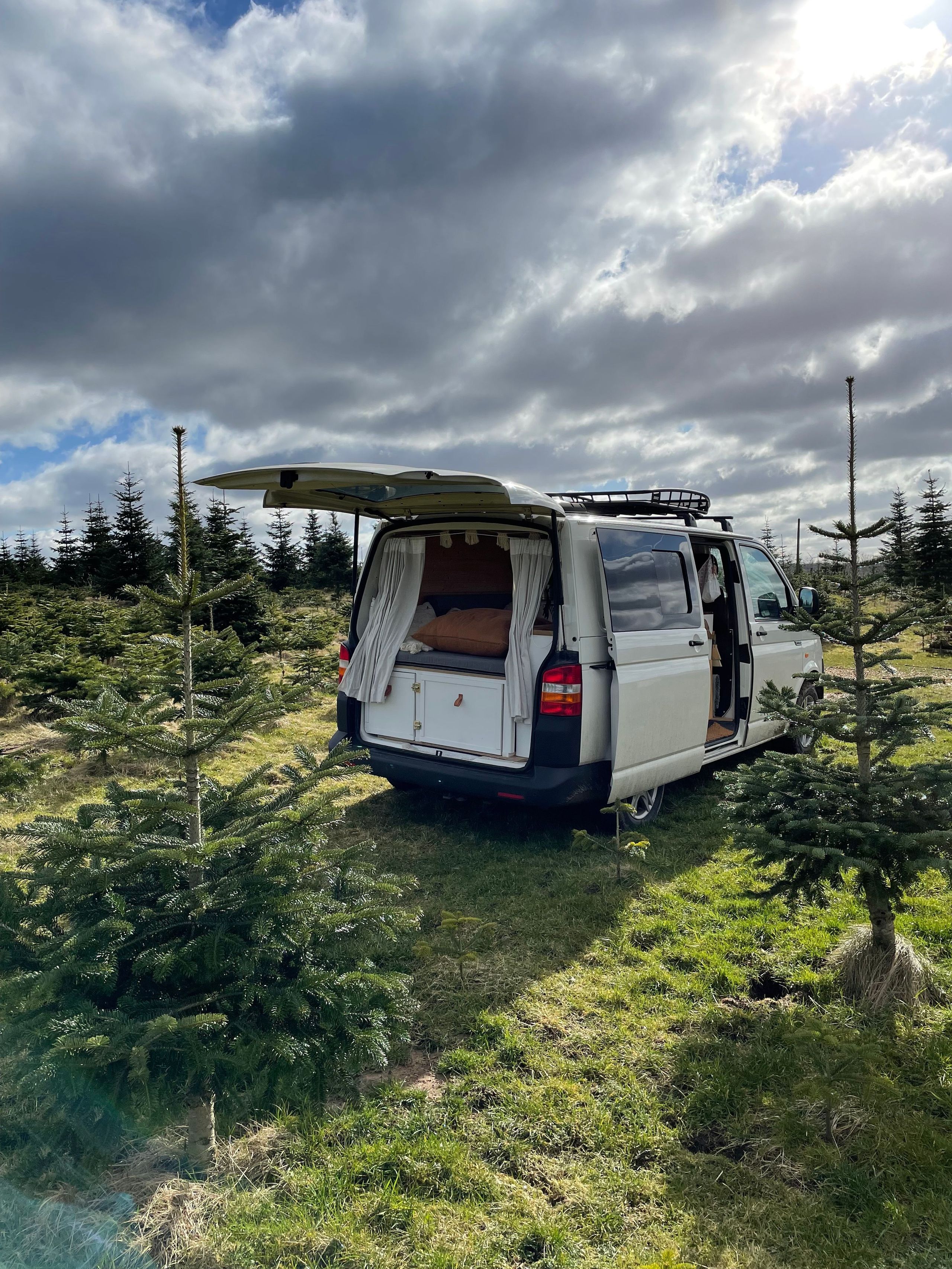 Camper steht auf einem Stellplatz von hinterland.camp umgeben von Weihnachtsbäumen