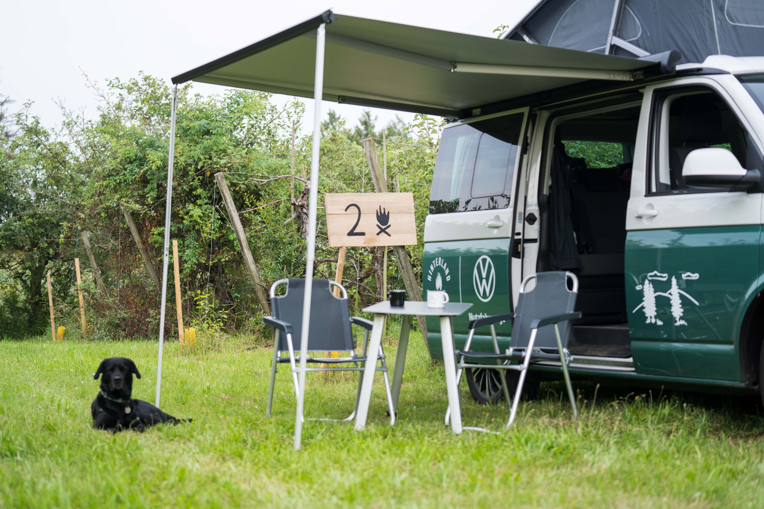 Camping mit Hund - Ein Camper steht auf einem Stellplatz in einer Apfelplantage von hinterland.camp und vor dem Camper liegt ein Hund und entspannt