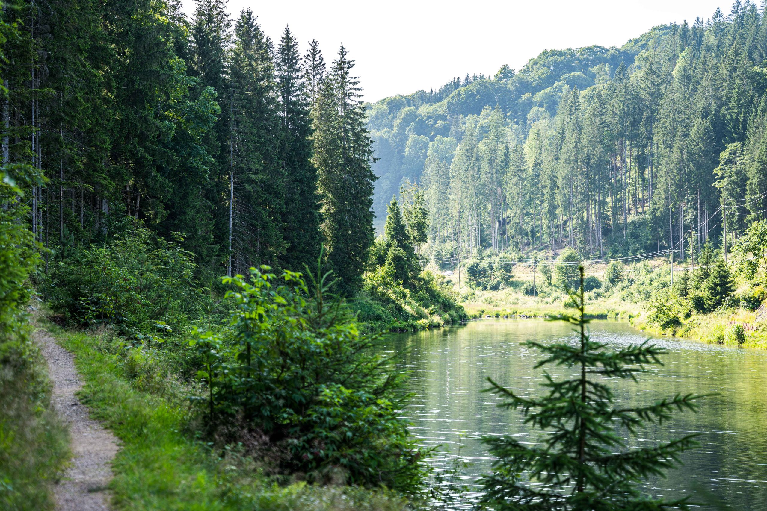 Idyllischer See im Münstertal in der Nähe einer der Stellplätze vom Münstertal Camping, die über hinterland.camp gebucht werden können.