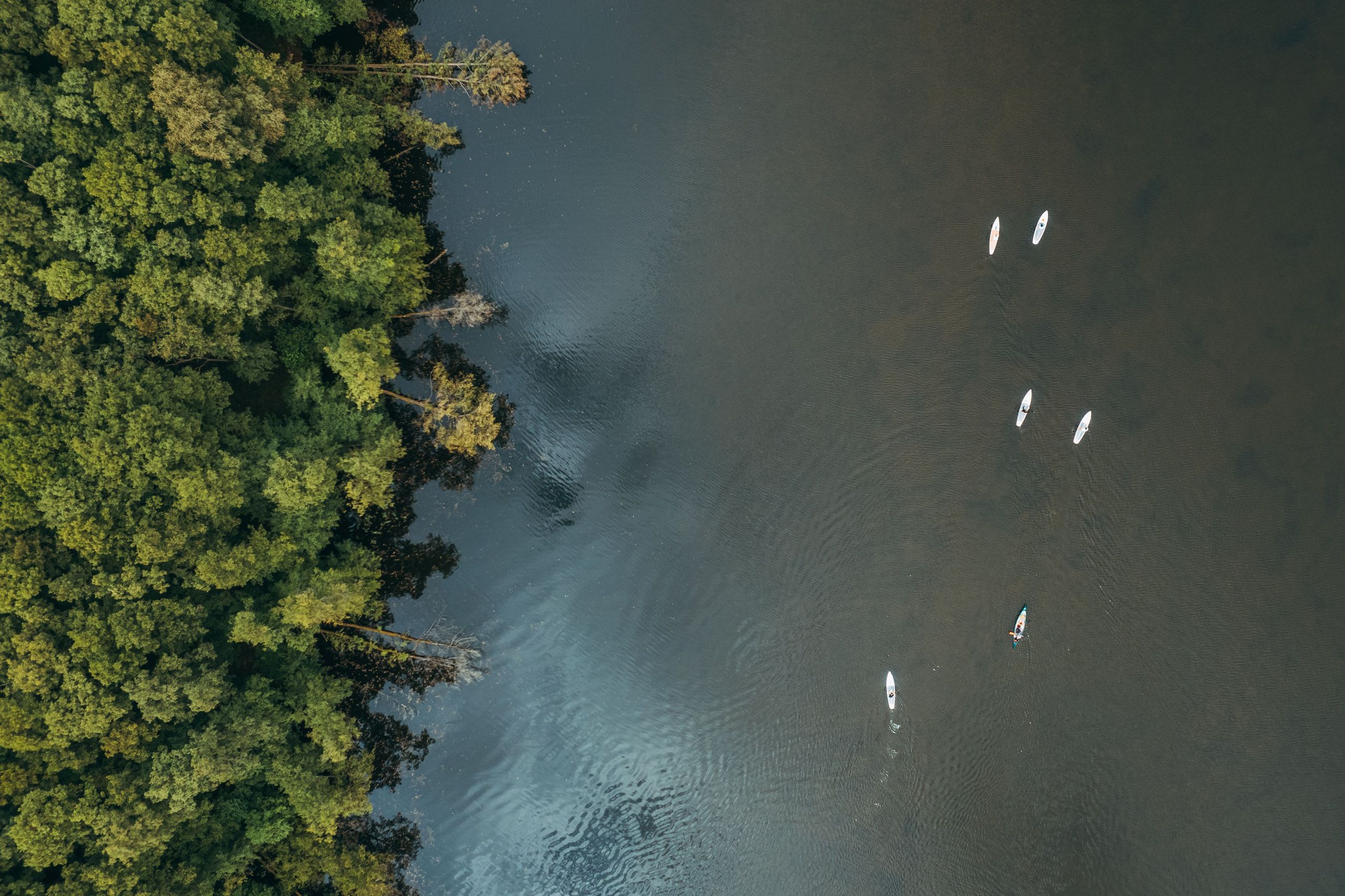 Vogelperspektive auf einen See mit Booten, umgeben von Wald