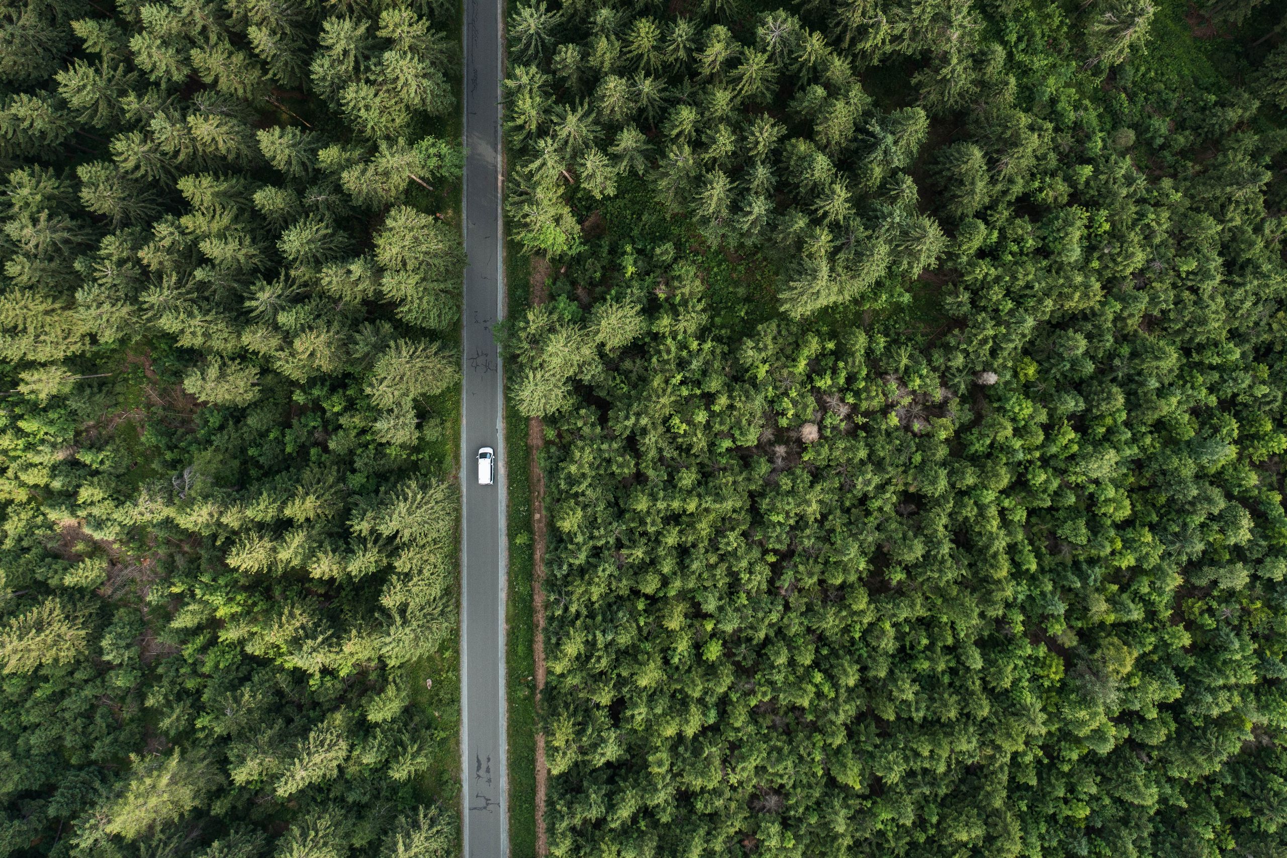 Drohnen-Aufnahme eines Campers, der durch einen Wald fährt