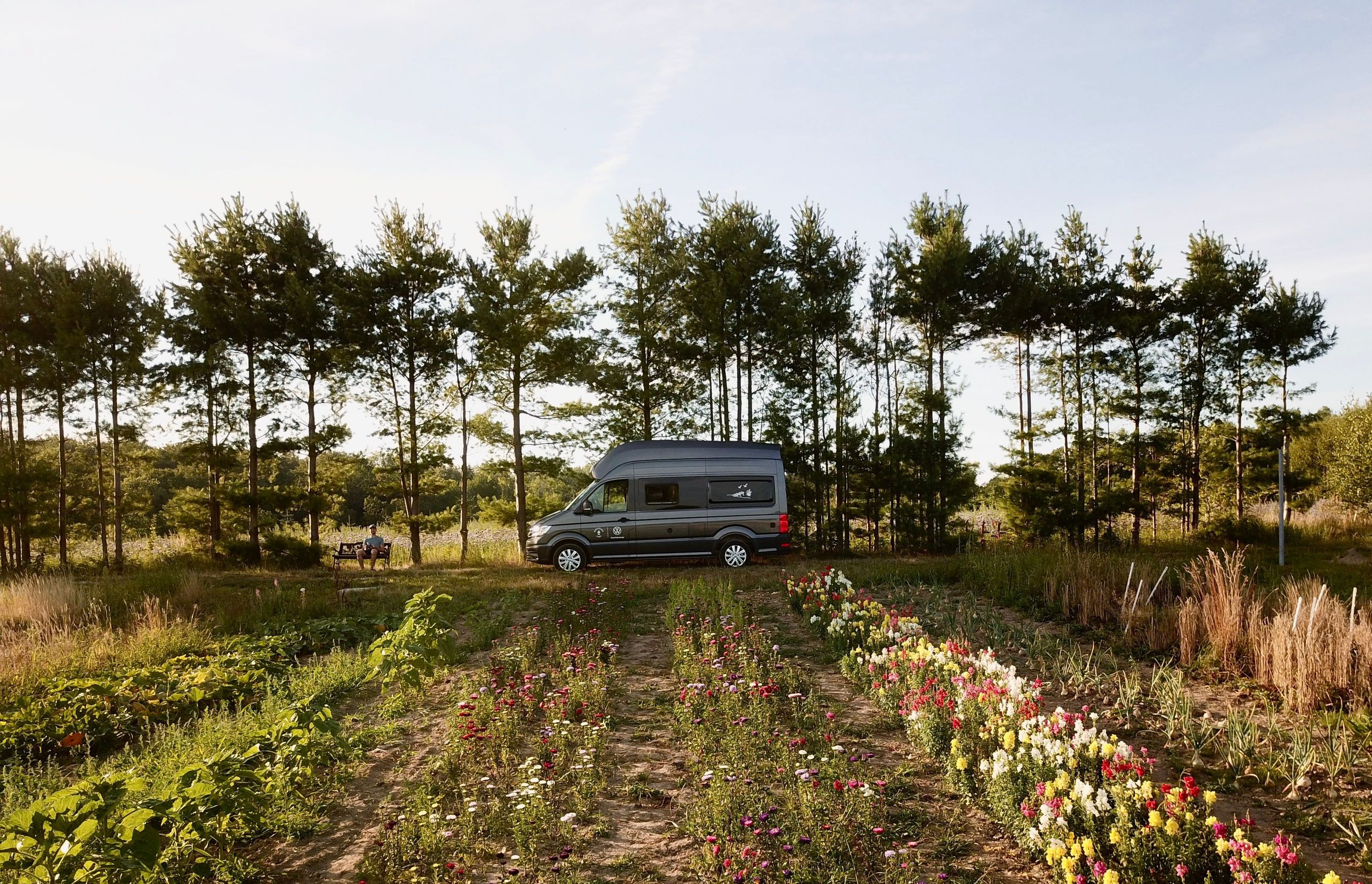 Ein Camper steht zwischen einem Wald und einer Blumenwiese auf einem kleinen Campingplatz auf Rügen.