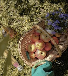 Regional Fruit Crate