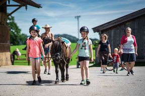 Paseos a caballo y clases de equitación