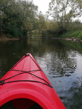 Boat tour